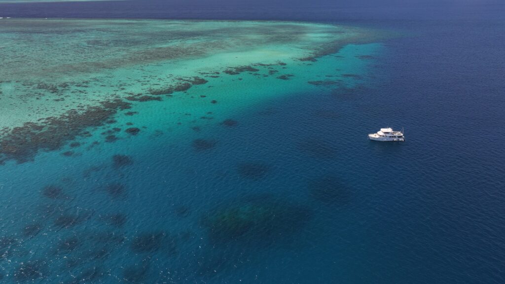 DJI 20241121101808 0414 D