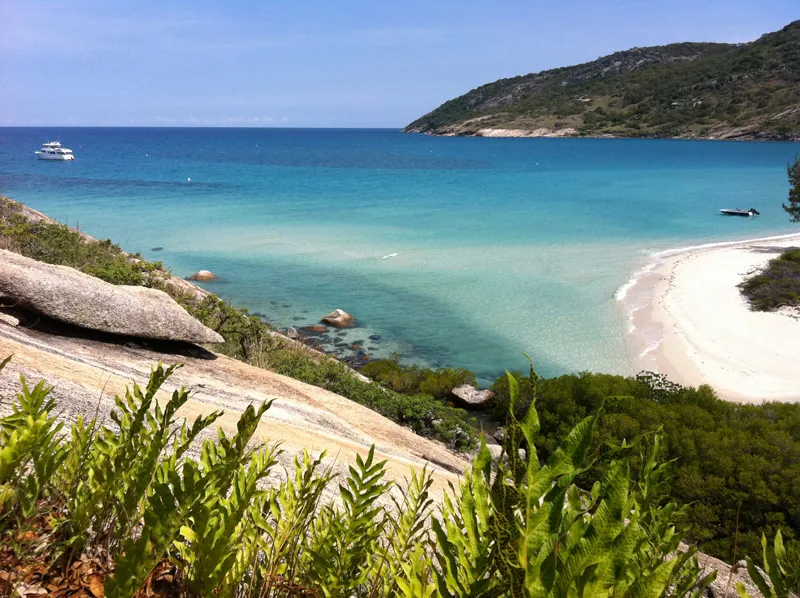 Aroona FAQ's 5 lizard island