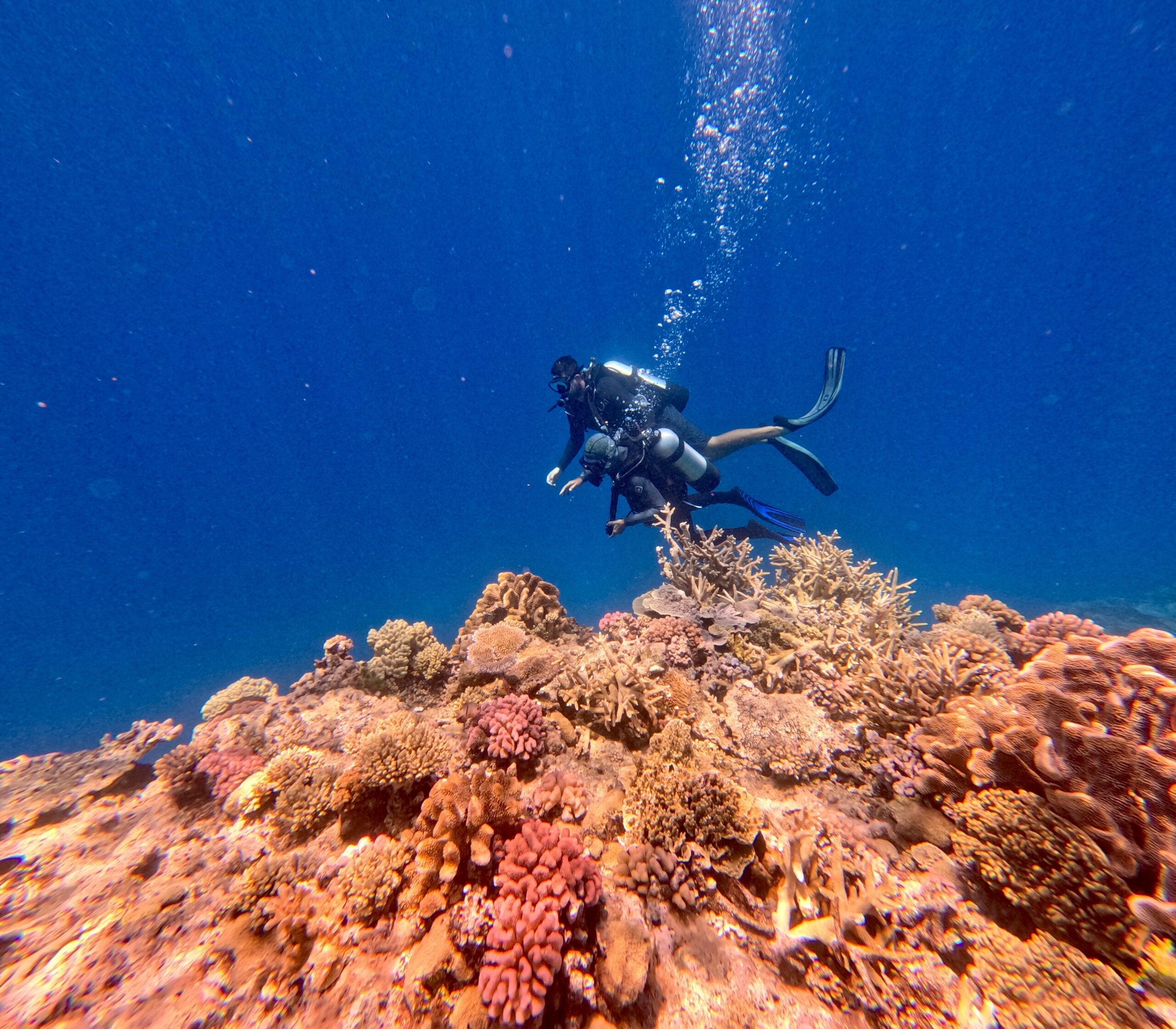 Aroona FAQ's 3 Aroona Intro Dive Great Barrier Reef scaled