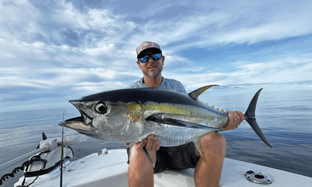 Aroona Tuna 1